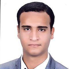 Tareq Ali Mohamed Ali