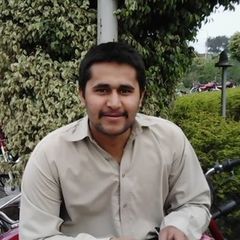 Muhammad Jawad  Mustfa, Web Designer/Developer