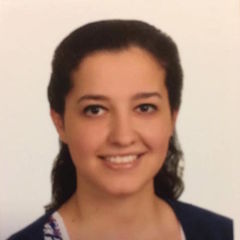 Haya El-Shamayleh, Data Entry officer Intern