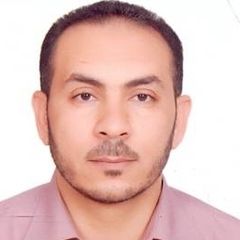 Sayedahmed Ali Sayedahmed      Nasr, محاسب عام