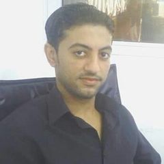 Kareem Khalifa, Web Designer