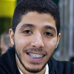 Abdullah  Abdulghany, embedded software engineer
