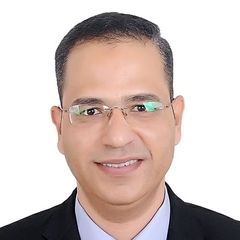 عمرو عبد الرحمن زكي فاضل, Sales Manager