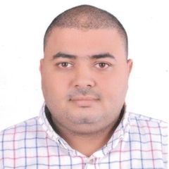 Ibrahim Mohamed EL-morsey Ali  Warda, مدير الحسابات