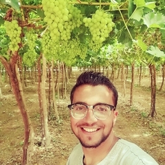 Hussien Ali Nasr, مهندس زراعي