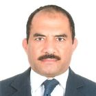Ahmed Fouad, مستشار قانونى
