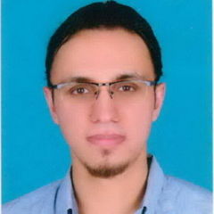 عبد الله إبراهيم, IT Specialist