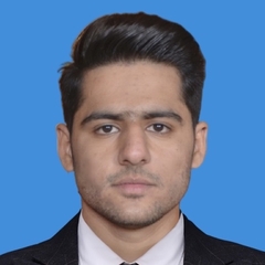 Faisal Majeed, compliance specialist