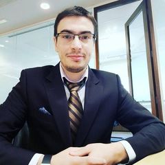 عماد أوزون, Senior Software Developer & Data Analyst