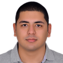 Mohamed Soliman, Project Sales Engineer