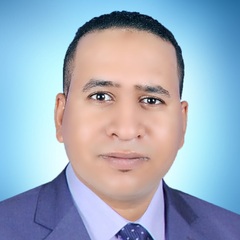 المنتصر   عوض الله محمد , MEP Site Engineer