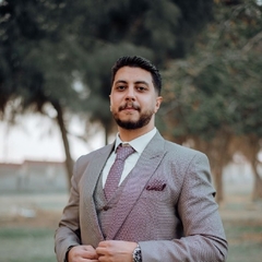 Abdelrahman Naguib, lawyer