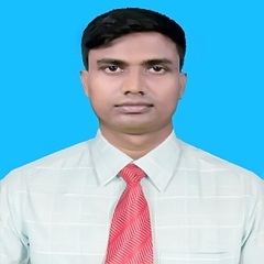 Md Habibur Rahman, Software Engineer