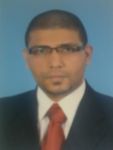 Mahmoud Adel Mahmoud Aly El Messiry, IT Manager & Project Manager