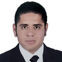 Mahmoud Arafa, محام