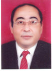 wael waseem elmasry, manager