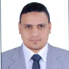 Mahmoud Al Awady, Chief Accountant