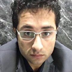 احمد الصنافيني, sales representative 