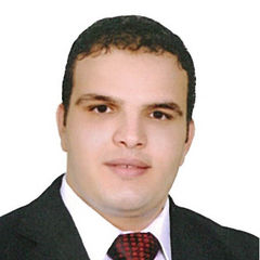 mahmoud farag, منسق مشاريع ومصمم وأرشفة الكترونية