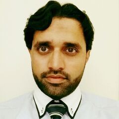 Raheel Iqbal, Accountant