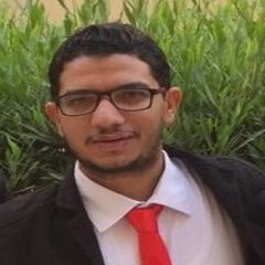 Alaa Eid, site engineer 