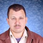Abdelnasser Ahmed, معلم خبير