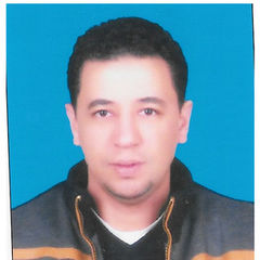 Ahmad Elswafi, Sales Executive