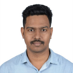Dinesh Kumar, Business Analyst