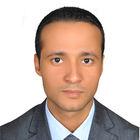 عمرو هشام محمد حسن احمد حسن, محاسب