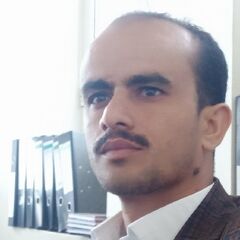 عبدالله حسين حسين نجم الدين, محاسب استشاري