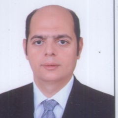 احمد عبد العاطي , consultant