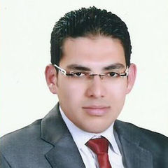 Abdelghany Salah Abdelghany Ali Geba, Material Engineer
