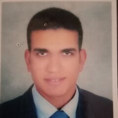 Ahmed   Sayed Mahmoud Ali Slim, Accounting Department Manager