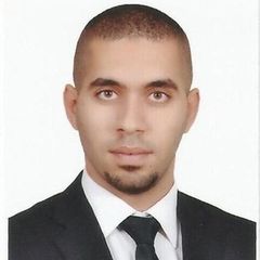 عبدالرحمن محمد محمد محمود أبوطالب, Architecture Supervisor