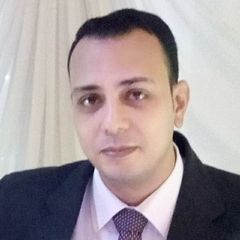 محمود احمد محمود سيد, محاسب