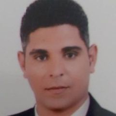 Hany  Abdo Salim Hassan, مدير الحركه والصيانه
