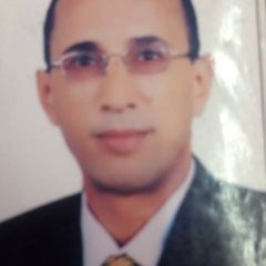 Ali El Safty, Project(s) Manager