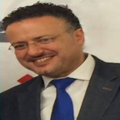 Dany Hatem, Business Development Manager