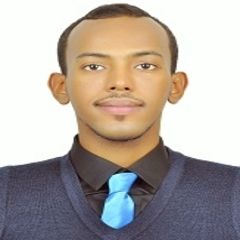 محمد عبدي, Inside Sales Representative