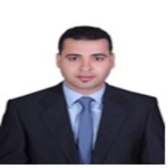 Gamil Shaban Moustfa, Sales Manager