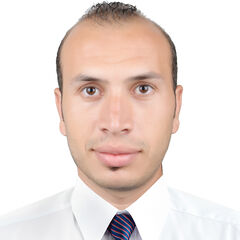 محمد عويضه, Area Sales Manager