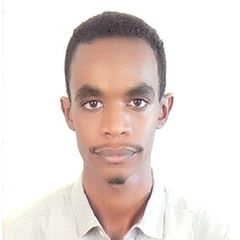 Mohamed Awad Idres Osman, Software Developer 