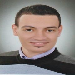 عماد محمد غالي, Oracle Apps Developer