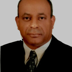 Khaled Saleh, Area Financial Controller 