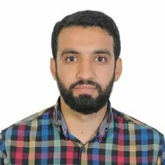Ahmed Elraie Osman Amer