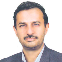 محمود محمد, Head Telecom Engineering