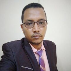 Ali Hassan Mohammed Saleh, Financial Manager
