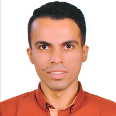 Mahmoud Ahmed, Structural Design Engineer
