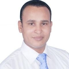 Ahmed Kamel ElNoby, e-Business Division Head 
