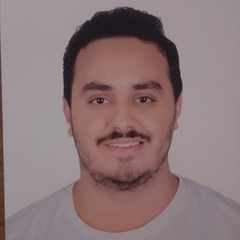 كريم محمود, Software Engineer